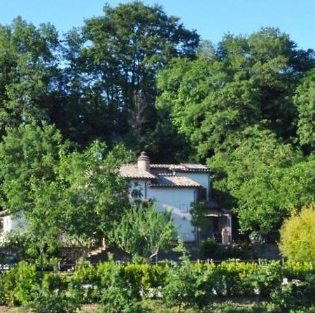 Agriturismo Il Noce Apartment Bagnoregio Bagian luar foto