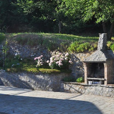 Agriturismo Il Noce Apartment Bagnoregio Bagian luar foto