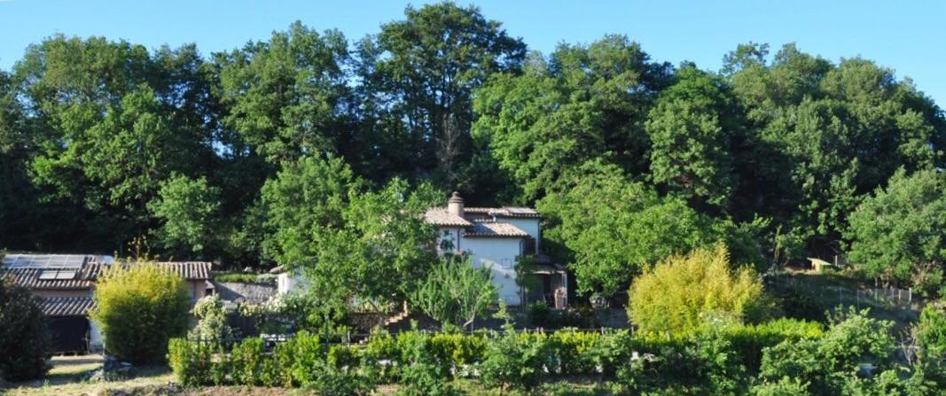 Agriturismo Il Noce Apartment Bagnoregio Bagian luar foto