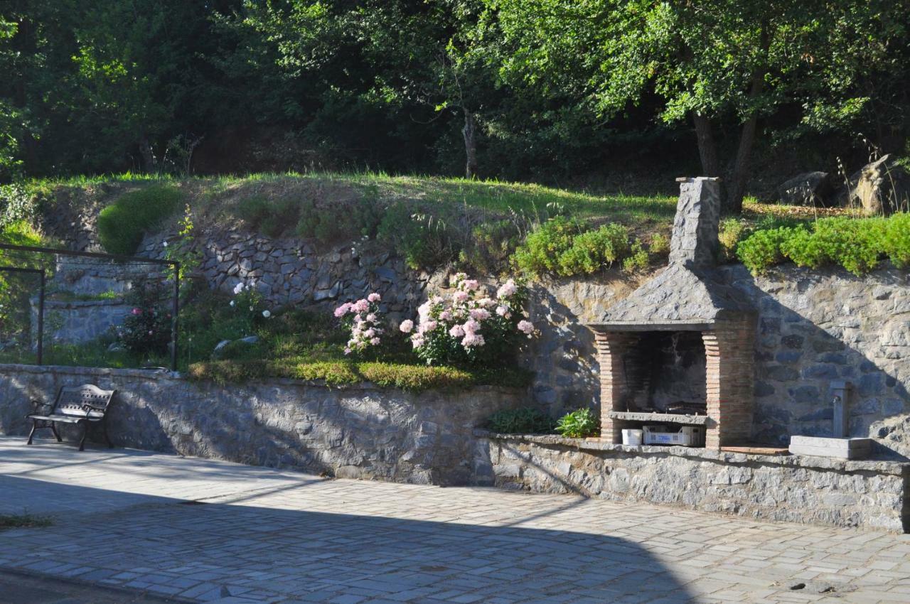 Agriturismo Il Noce Apartment Bagnoregio Bagian luar foto